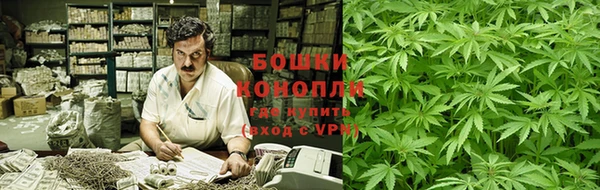 шишки Семикаракорск