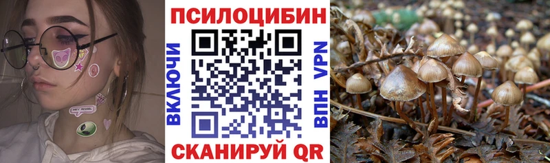 Купить  Нижний Новгород  Псилоцибиновые грибы прущие грибы 